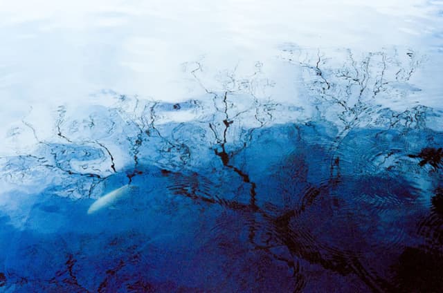 Swimming through distortions
