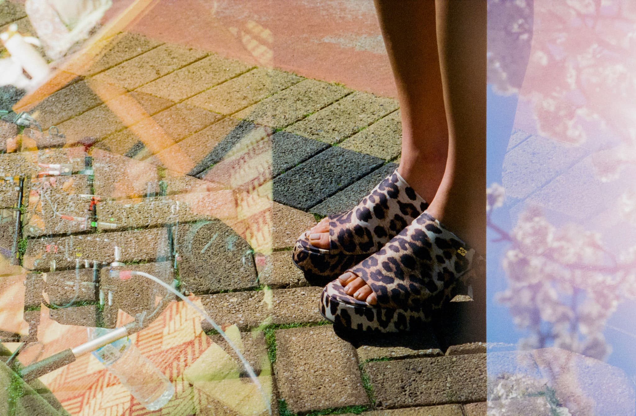 Leopard feet