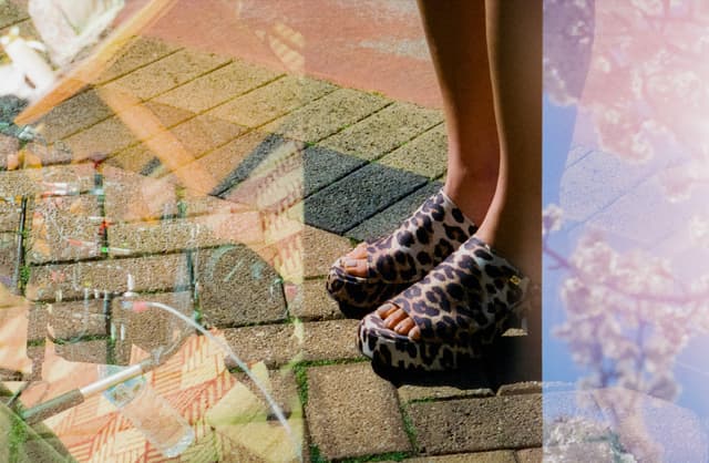 Leopard feet