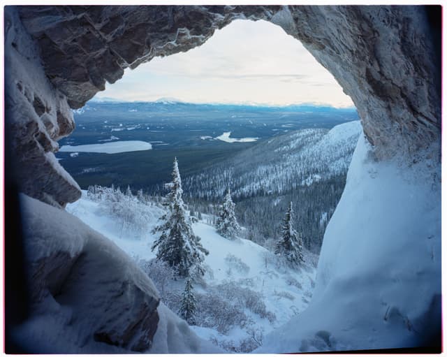 A hibernator's perspective